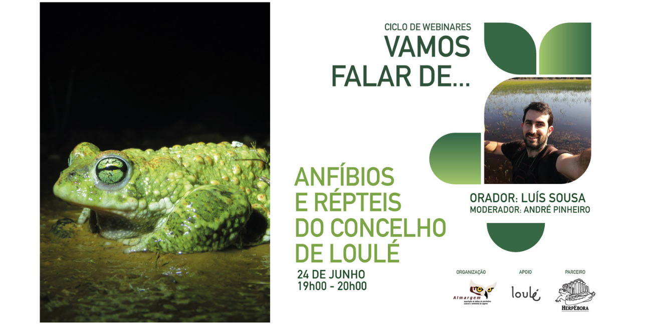 Ciclo Webinar