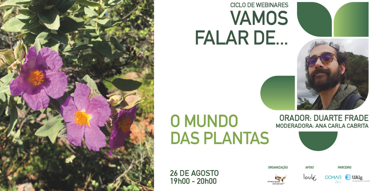 Ciclo Webinar